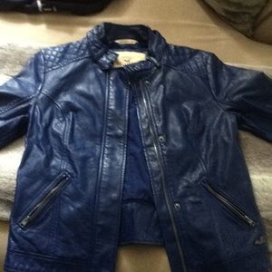 Hollister Blue Leather Jacket